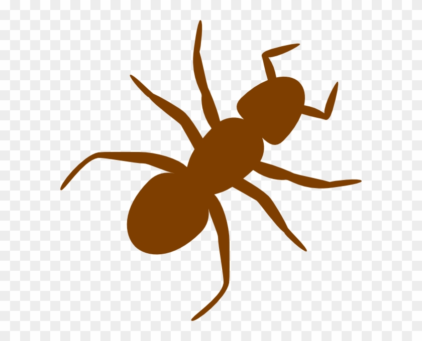 How To Set Use Brown Ant Svg Vector - Ant Clip Art - Png Download #3822064