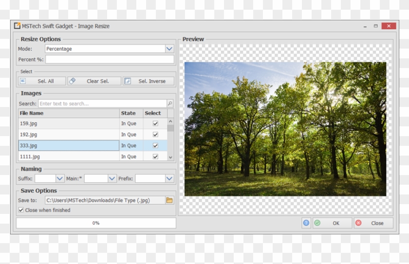 1 - 20 Maret Hari Kehutanan Sedunia Clipart #3824938