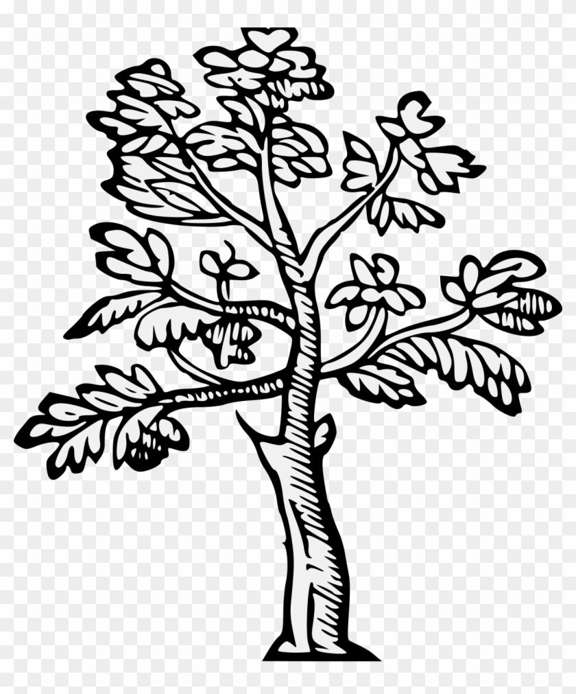 Details, Png Clipart #3825463