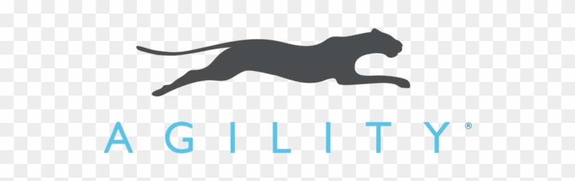 Agility Cms Clipart #3828412