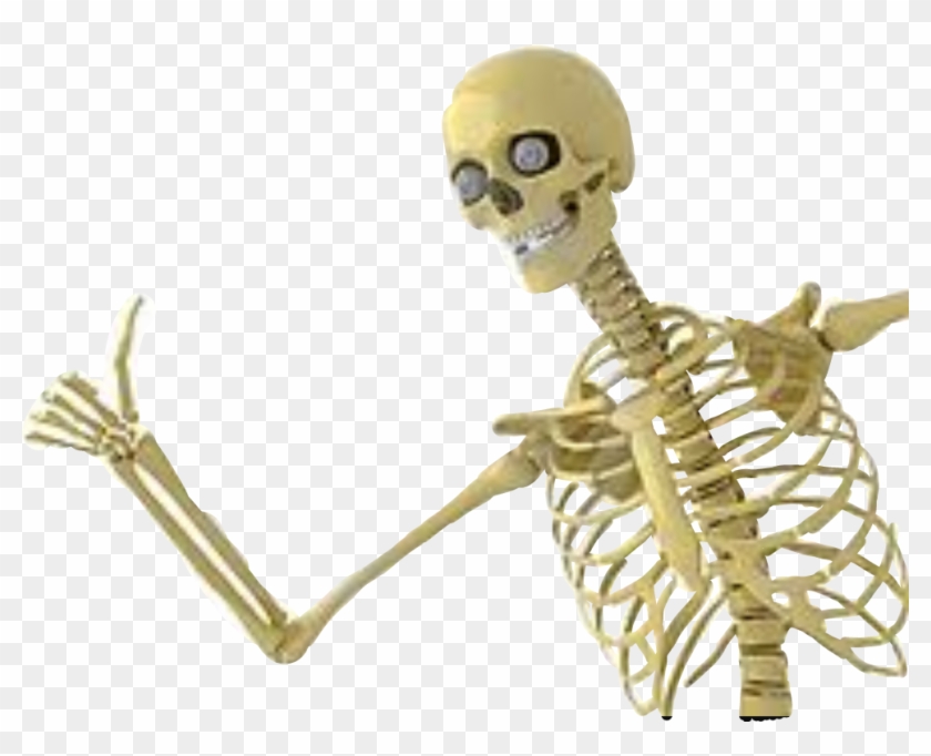Esqueleto Sticker - Skeleton With Thumbs Up Clipart #3829099