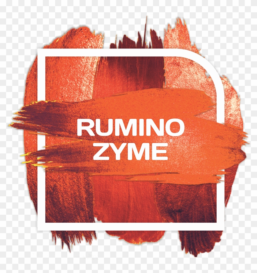 Zyme - Graphic Design Clipart