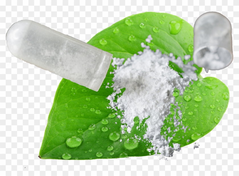 Green Leaf Clipart #3829564