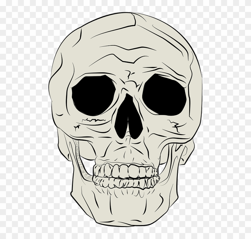 Cuerpo, Horror, Médica, Esqueleto, Cráneo - Gambar Ilustrasi Tengkorak Clipart #3829712