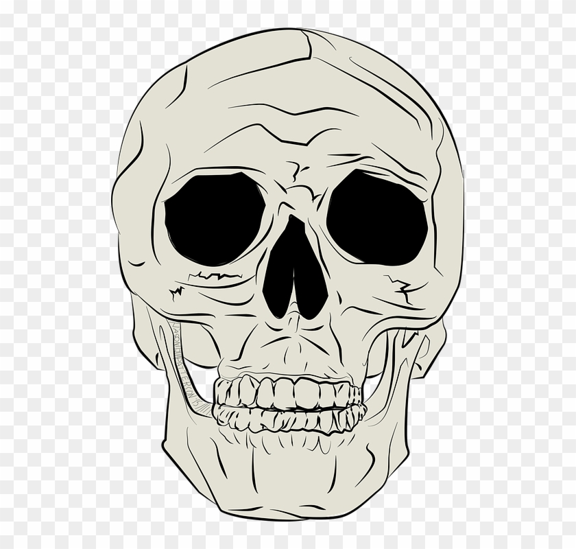 Cuerpo, Horror, Médica, Esqueleto, Cráneo - Gambar Ilustrasi Tengkorak Clipart