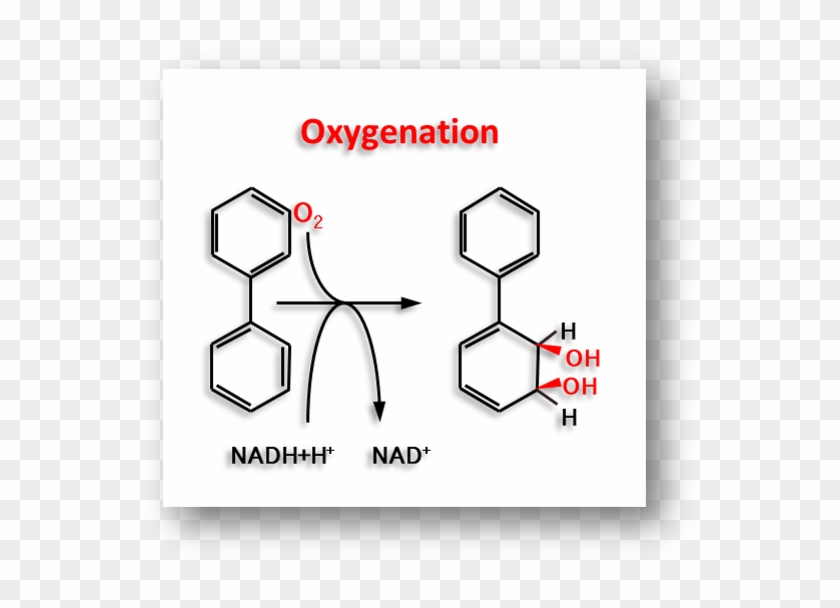 The Result Of Reacting 40 Mg Ml 1 Of Commercial Pcbs - Portable Network Graphics Clipart #3830188