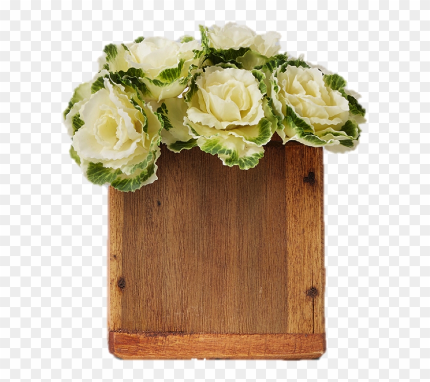 More Views - Garden Roses Clipart