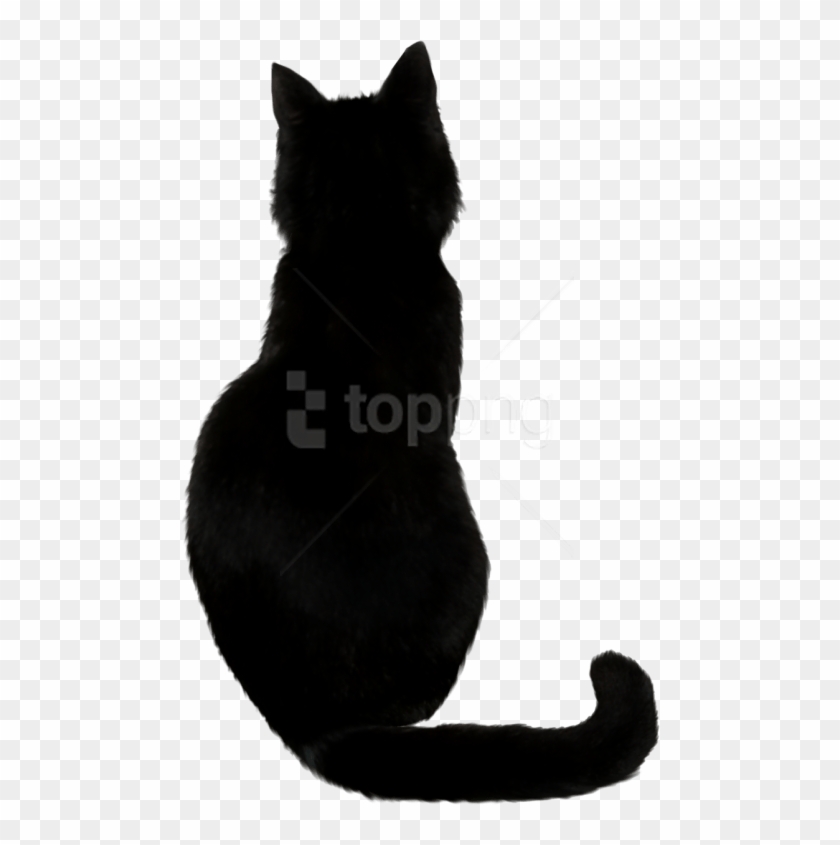 Free Png Download Black Cat Png Images Background Png - Back Of A Black Cat Clipart