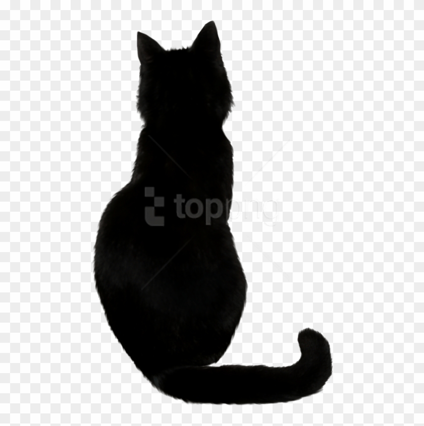 Free Png Download Black Cat Png Images Background Png - Back Of A Black Cat Clipart #3831879