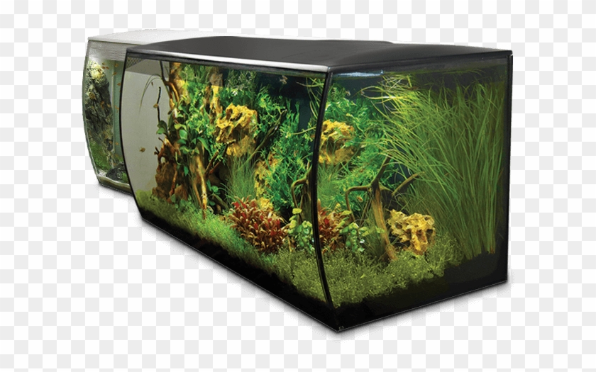 Fluval Flex 123 Litre Clipart #3832072
