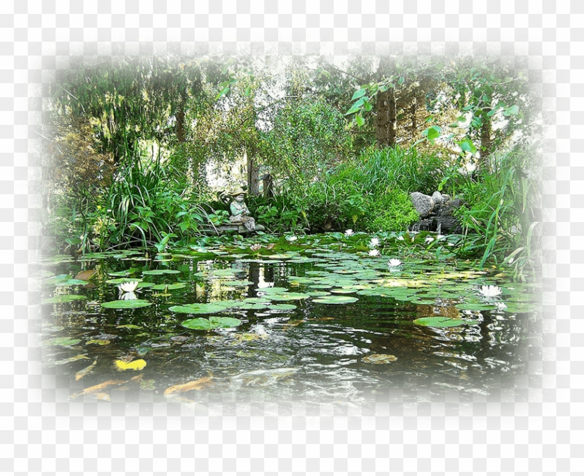 Avada Macbook Image - Fish Pond Clipart #3832221