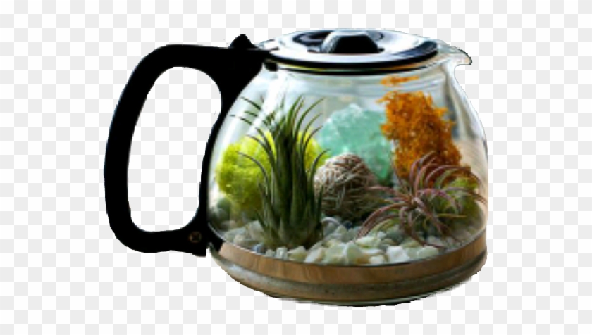 Sckitchenware Sticker - Diy Terrarium Clipart