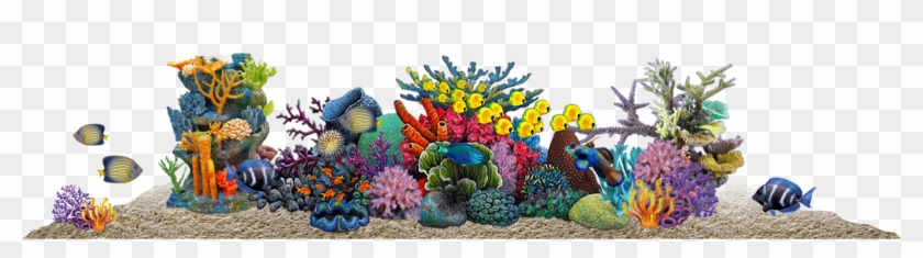 Conveniently Located To Serve You, We Offer A Huge - Coral Reef Clipart #3832606