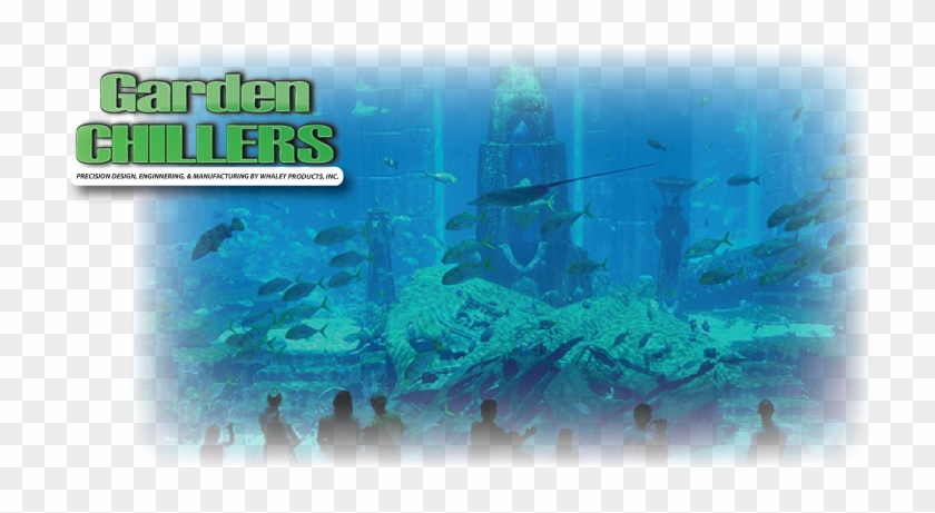 Fish And Plants Are Pretty Adaptable, And Tolerable - Underwater Clipart