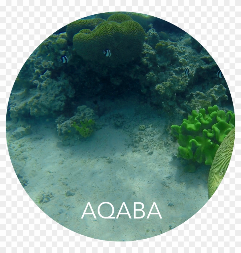 Our Route - Circle Clipart #3833186