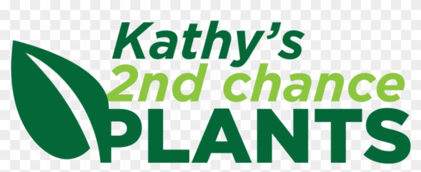 Kathy's 2nd Chance Plants, Llc - Sfr Clipart #3833224