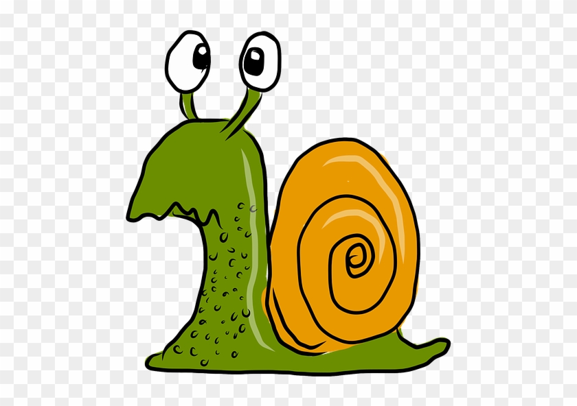 Caracol Dibujo Png - Confused Snail Clipart