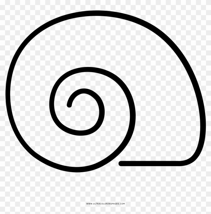 Caparazón De Caracol Página Para Colorear - Dibujo Caparazon De Caracol Clipart #3834013