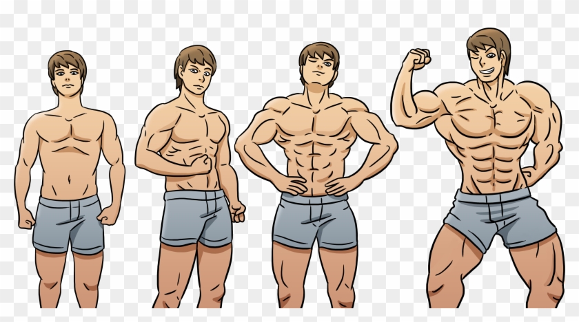 Crazy Gain - Steroids Before And After Cartoon Clipart #3834632