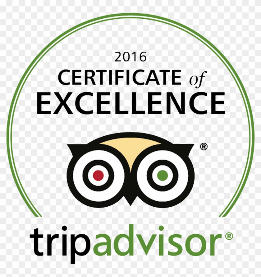 Our Balloons Pluspng - Tripadvisor Excellence Award 2017 Clipart #3836990