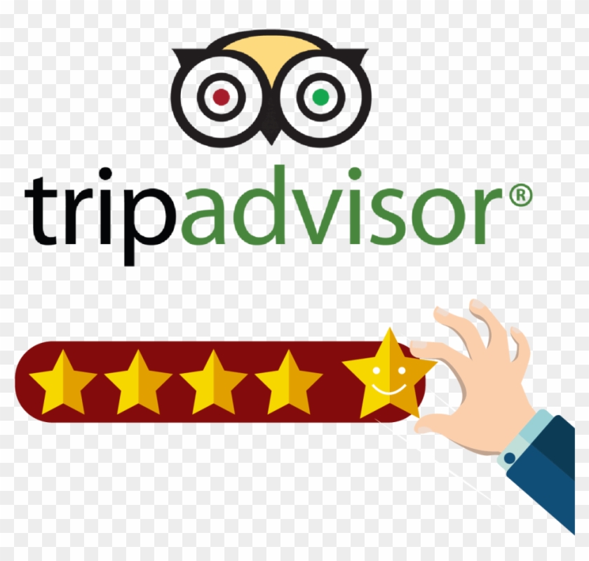 Trip Advisor And Trust You Reviews - Trip Advisor Clipart #3837729