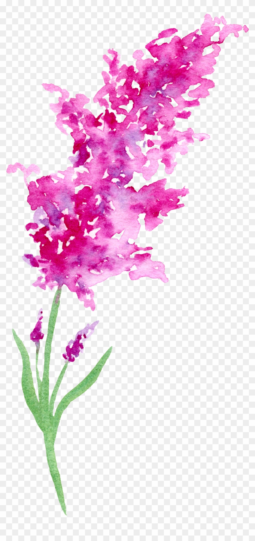 0℃素材44 Watercolor Heart, Flower Watercolor, Watercolor - Flor Dibujos En Acuarela Clipart #3840088