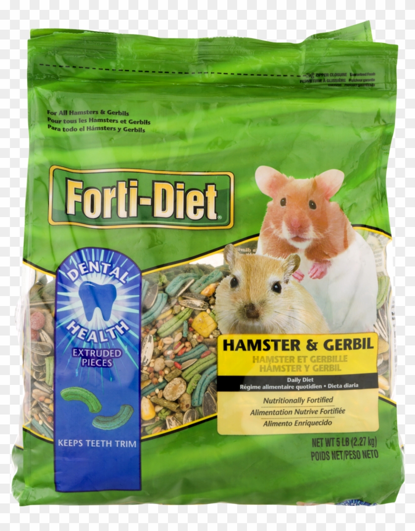 Rat Clipart #3840241