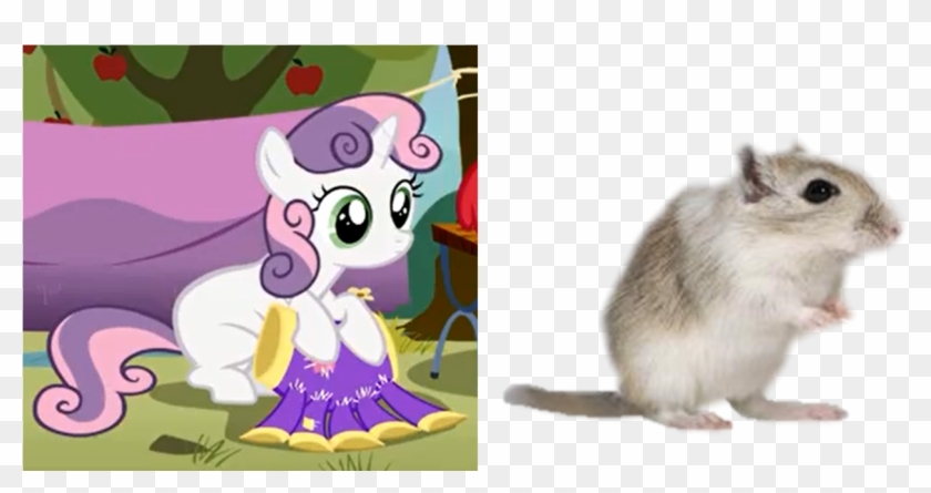 Cute, Gerbil, Rodent, Safe, Sweetie Belle, Sweetie - Mouse Clipart #3840725