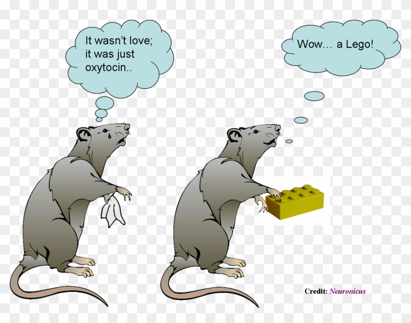 Rat Cartoon Transparent Clipart