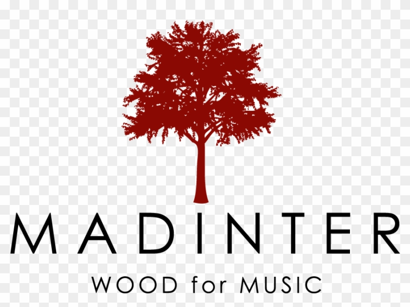 Come And Meet Us In The Nave De Terneras, In The Surroundings - Swamp Maple Clipart #3841852