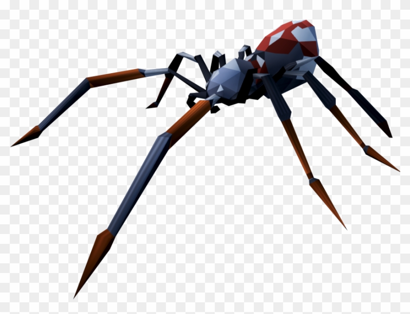 Night Spider Clipart