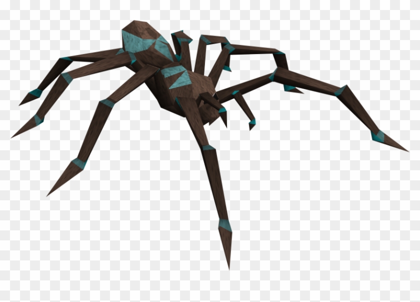 Araneus Cavaticus Clipart