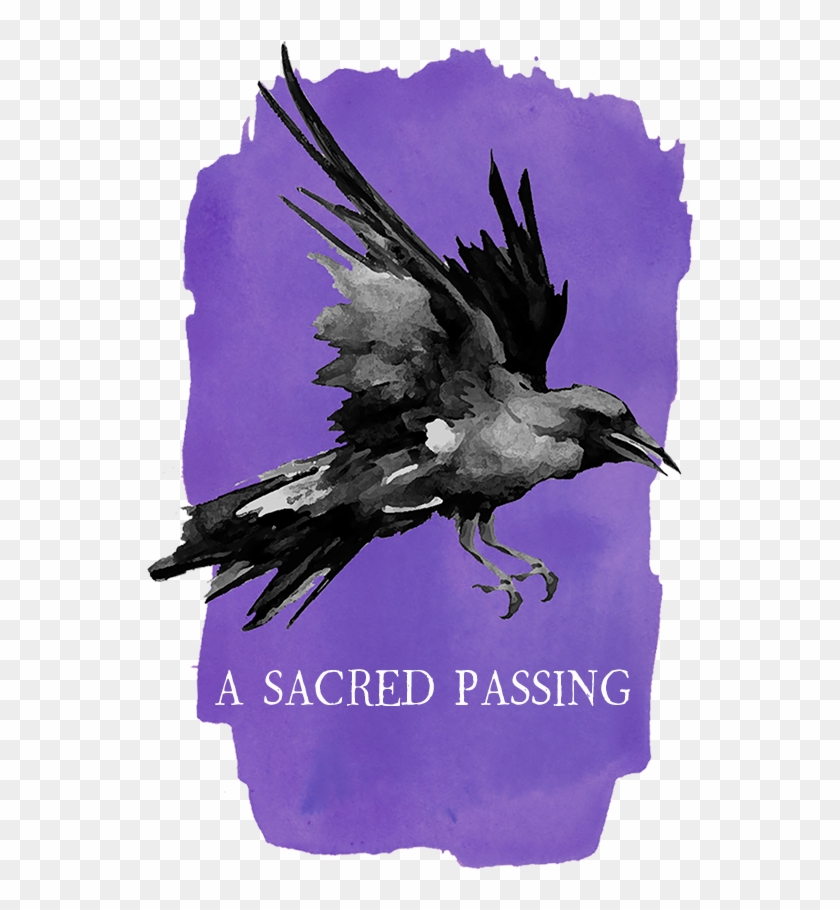 Exclusive Offers For Wsu Alumni And Friends - American Crow Clipart