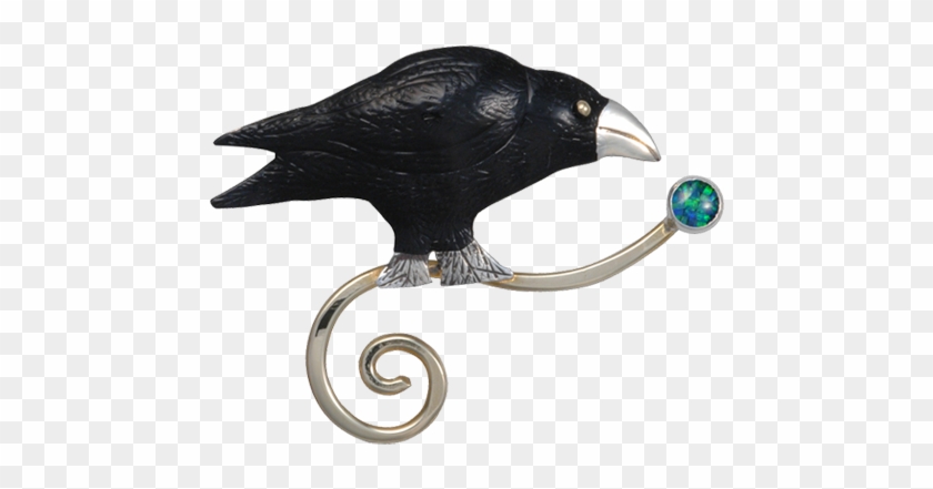 American Crow Clipart