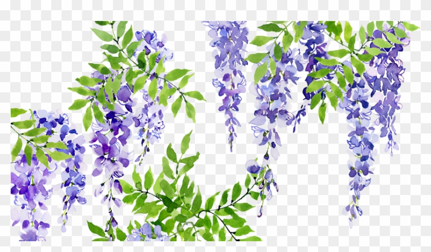 Wisteria Clipart