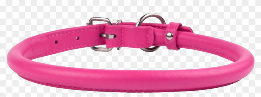 Dog Collar Png - Buckle Clipart #3848569