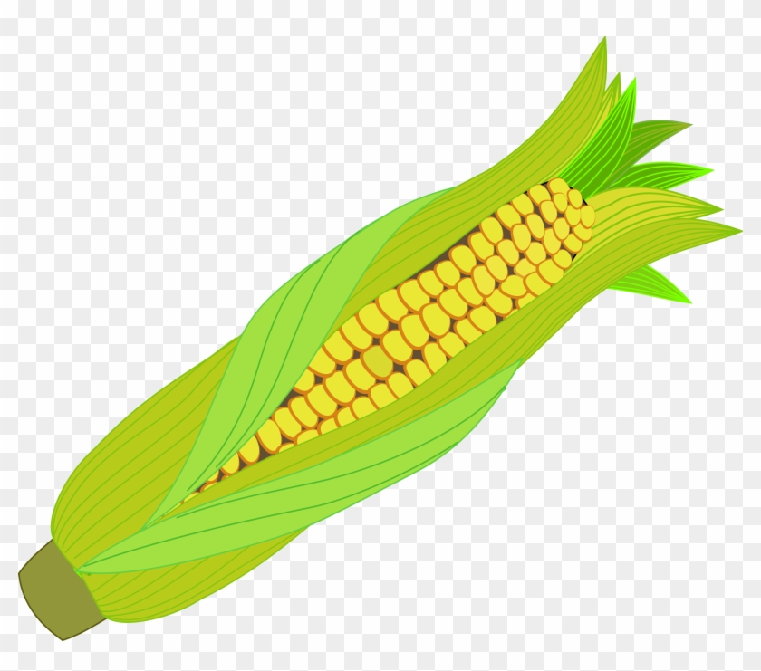 Icon Corn Cob - Maize Svg Clipart