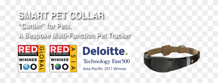 Smart Pet Collar - Red Herring Clipart