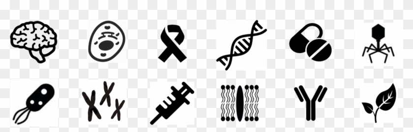 The Largest Proportion Of Nobel Prizes In Life Sciences Clipart