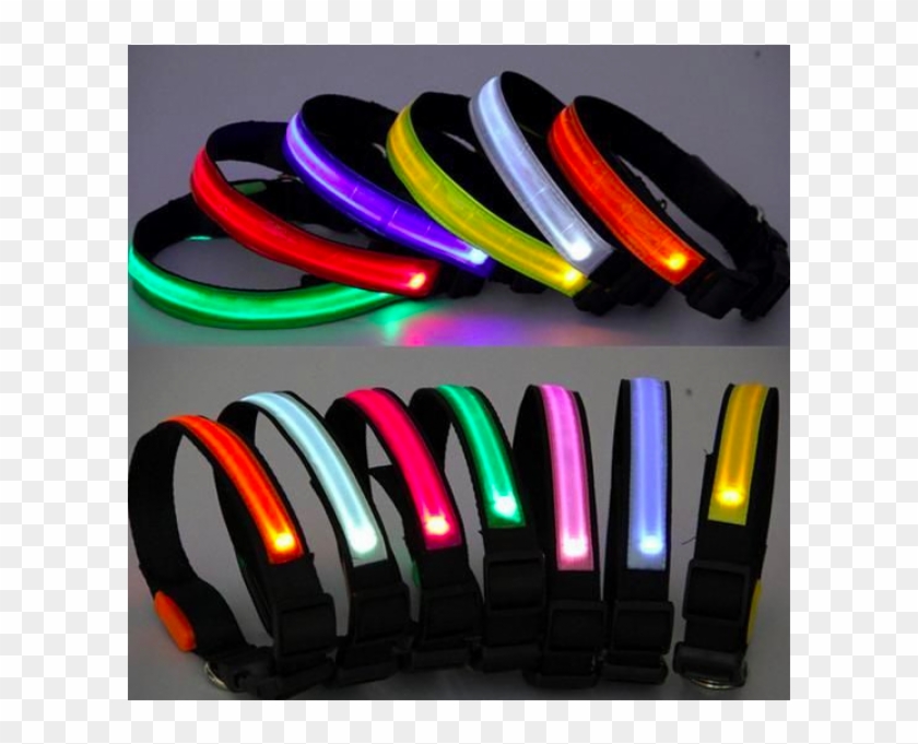 Led Dog Collar With 3 Light Settings - Vízálló Világító Kutya Nyakörv Clipart