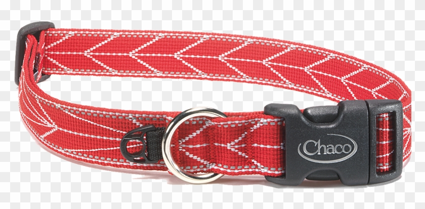Chaco Dog Collar Clipart #3849232