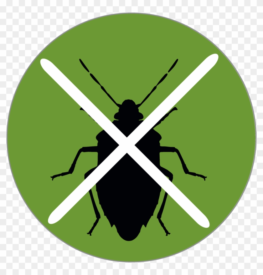 Endophyte Icon - Oregon Basketball Club Clipart