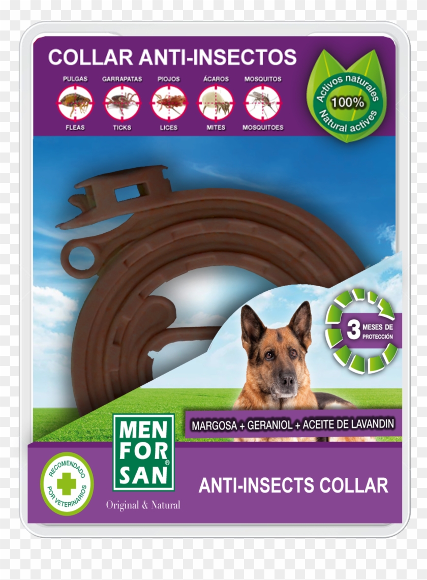 Anti-insect Collar For Dogs - Anti Insect Dog Collar Clipart