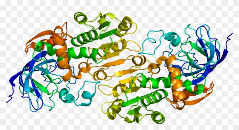 Bloomberg's Headline On This Issue Was "sam Adams Could - Alcohol Dehydrogenase Clipart