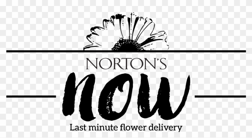 Logo Design By Bern Gd For Norton's Florist - Calligraphy Clipart #3856347