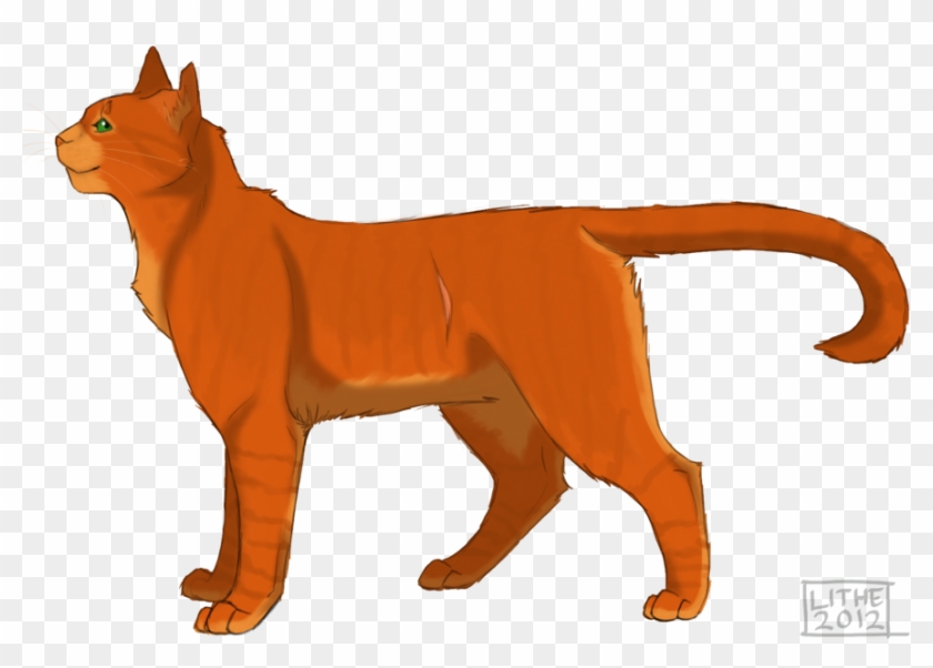 Warrior Cat Drawings Firestar - Warrior Cats Lithestep Firestar Clipart