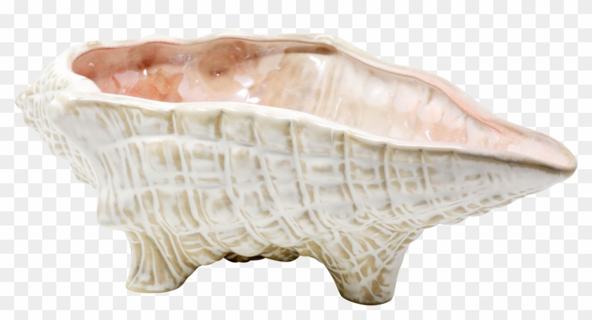 Large 15" Conch Shell Bowl By Pottery Barn On Chairish - Ceramic Clipart #3865958