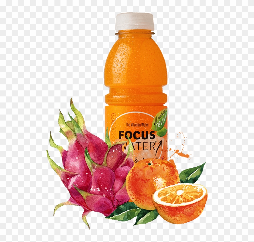 This Website Uses Cookies To Provide Necessary Site - ภาพ พื้น หลัง ผล ส้ม Clipart #3866581