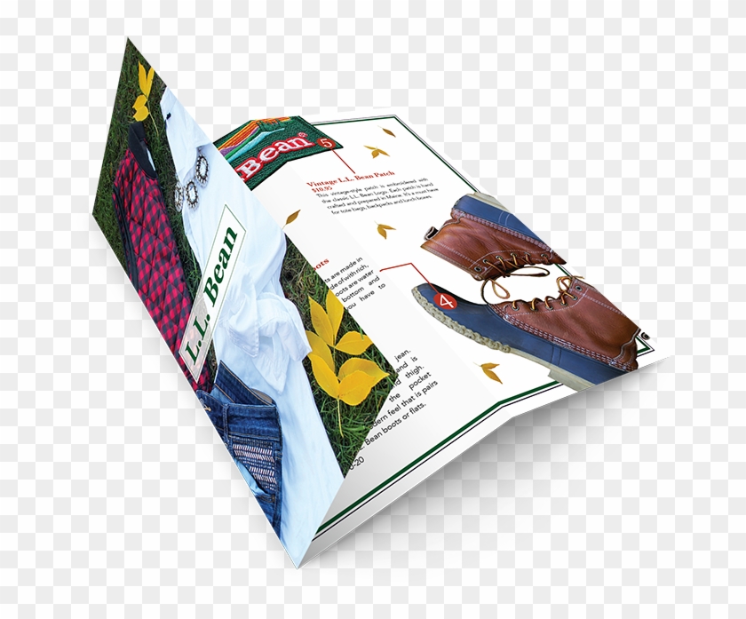 Bean Brochure - Book Clipart #3868227