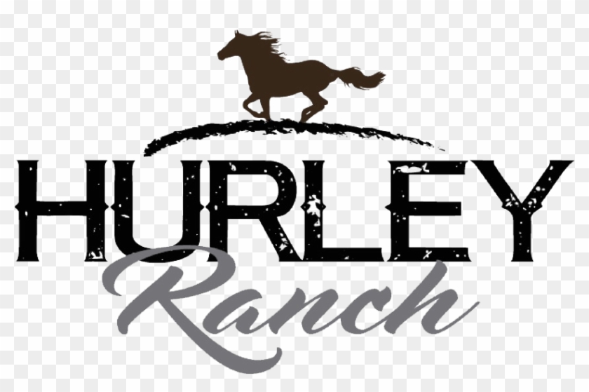 Hurley Ranch & Realty Came To Us Wanting To Address - Stallion Clipart